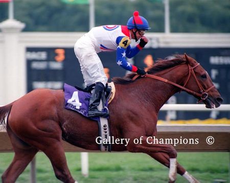 Azeri Photo - 2002 Breeder's Cup Distaff Winner