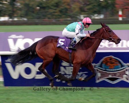 Banks Hill Photo - 2001 Breeder's Cup Filly & MareTurf Winner