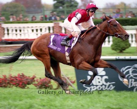 Barathea Photo - 1994 Breeder's Cup Mile Winner