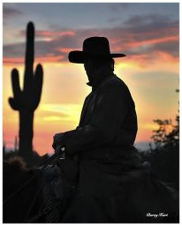 Barry Hart - Arizona Cowboy - Western Print - Canvas Options