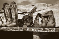 Barry Hart - Big Foot - Western Print with Puppy - Canvas Options