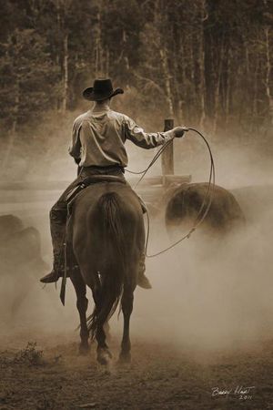 Barry Hart - Cowboy Named Bronco - Western Print - Canvas Options
