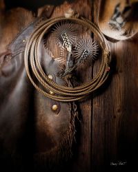 Barry Hart - Cowboy's Closet - Western Print - Canvas Options