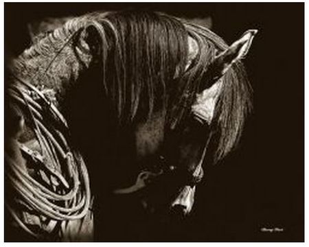 Barry Hart - Gypsy - Horse Print - Canvas Options