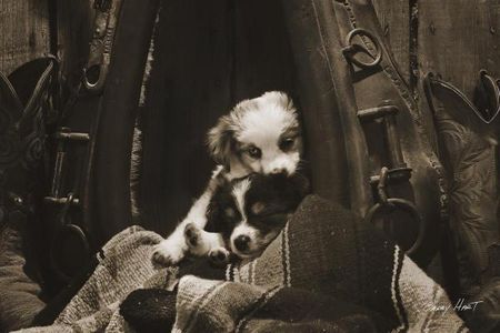 Barry Hart - He Ain't Heavy - Western Print with Puppies