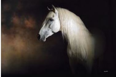 Barry Hart - Lechoso - White Horse Print
