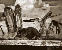 Barry Hart - Pup 'n Boots - Western Print With Puppy - Canvas Options