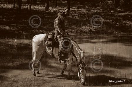 Barry Hart - Quiet Moment - Sepia Western Print