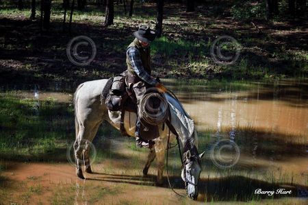 Barry Hart - Quiet Moment - Western Print - Canvas Options