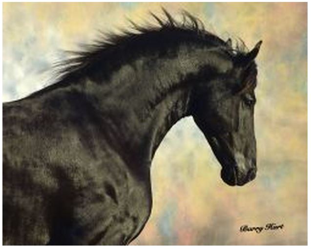 Barry Hart Rio Bravo Horse Print Canvas Options