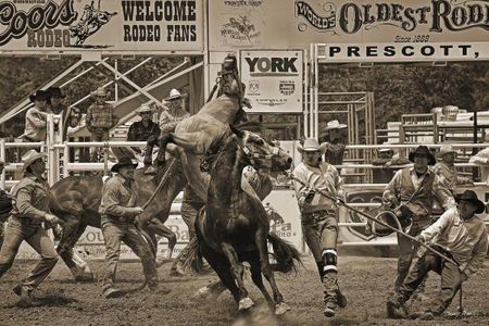 Barry Hart - Rodeo Daze - Rodeo Print - Canvas Options