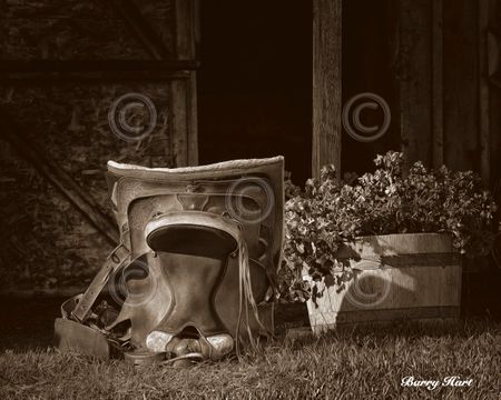 Barry Hart - Saddle Still Life - Sepia Western Print