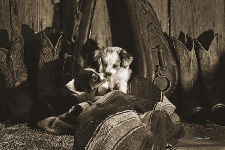 Barry Hart - Stolen Kiss - Western Print with Puppies - Canvas Options