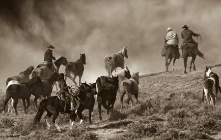 Barry Hart - The Wild Bunch - Western Horse Print