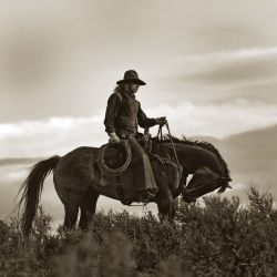 Barry Hart - Trail Boss II - Cowboy Print - Canvas Options