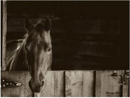 Barry Hart - Trooper - Horse Print - Canvas Options