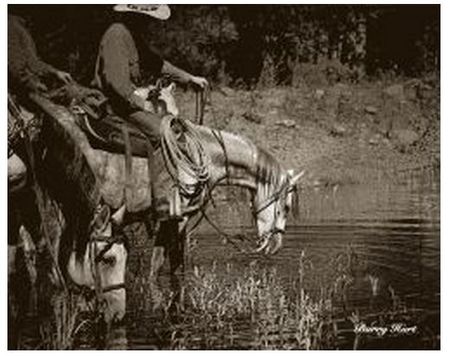 Barry Hart - You Can Lead a Horse to Water - Western Print