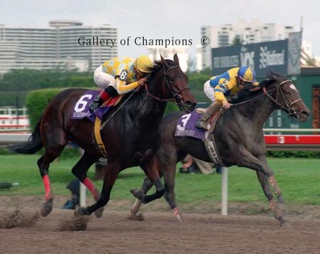 Beautiful Pleasure Photo - 1999 Breeder's Cup Distaff Winner