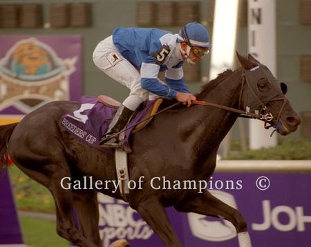 Better Talk Now Photo - 2004 Breeder's Cup Turf Winner