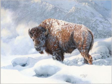 Bonnie Marris - Early Blizzard - Bison Print
