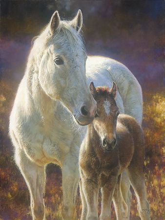 Bonnie Marris - Morning Magic - Signed & Numbered Mare and Foal Giclee