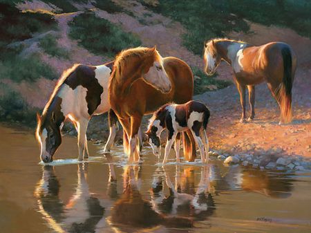 Bonnie Marris - Night Cap - Giclee
