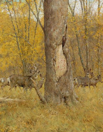 Bradley Schmehl - Little Dog's Deer - Signed & Numbered Print