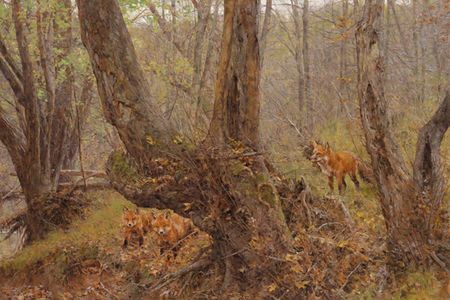 Bradley Schmehl - Secrets of the Forest - Signed and Numbered Print