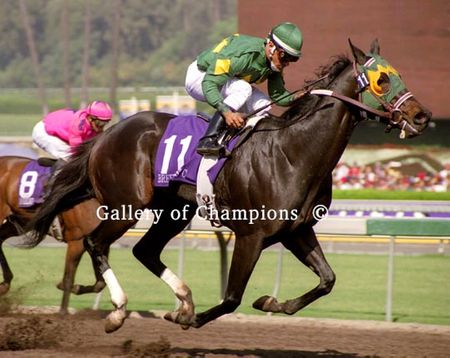 Cajun Beat Photo - 2003 Breeder's Cup Sprint Winner