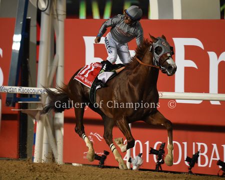 California Chrome Wins 2016 Dubai World Cup - Framed and Unframed