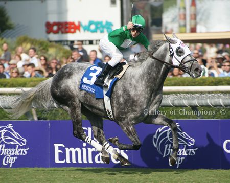 California Flag - 2009 Breeder's Cup Winning Horse Photo