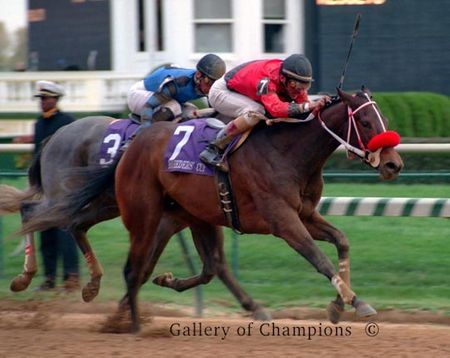 Caressing Photo - 2000 Breeder's Cup Juvenile Fillies Winner