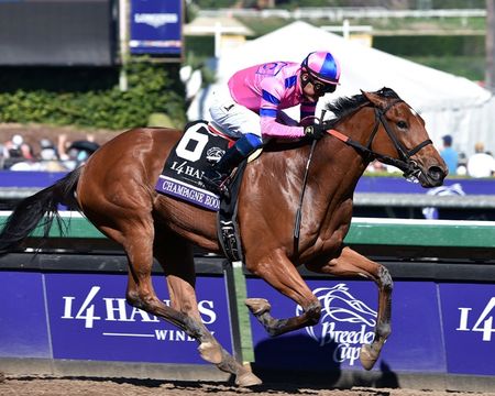 Champagne Room - 2016 Breeders Cup - Framed/Unframed Photos