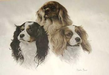Charles Frace - Cavalier King Charles Spaniels - Limited Edition Print
