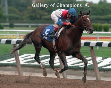 Cigar Picture - 1996 Woodward Stakes at Belmont Park