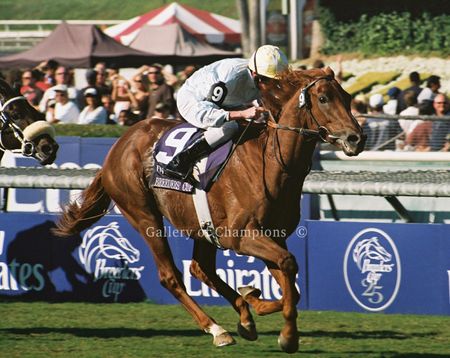 Conduit Art Print - 2008 Breeder's Cup Winner