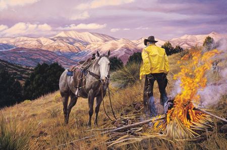 Tim Cox - Bear Grass BTU's - Limited Edition Print