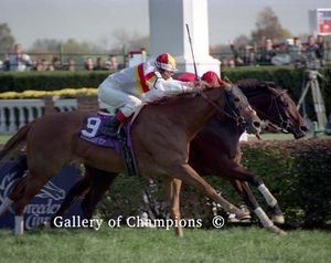 Da Hoss Photo - 1998 Breeder's Cup Mile - A Two Time Winner!