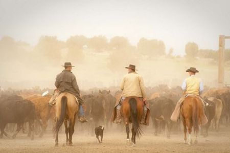 Dan Ballard - Cowboy's Best Friend - Western Art Print