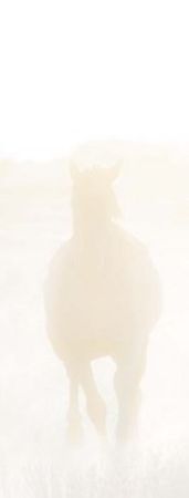 Dan Ballard - Spirit Series IV - Horse Art Print