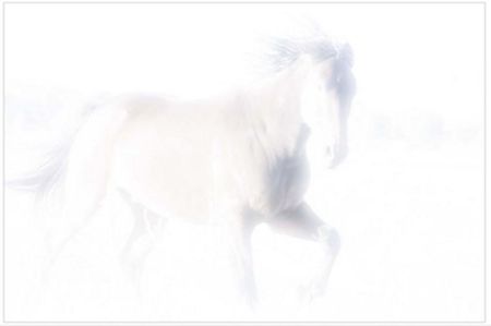 Dan Ballard - Spirit Series V - Horse Art Print