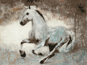 Dario Moschetta - White Star - Horse Print