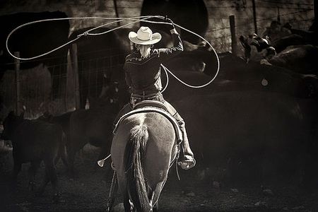 Lisa Dearing - American Cowgirl - Art Print