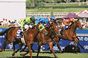 Desert Code Art Print - 2008 Breeder's Cup Winning Horse