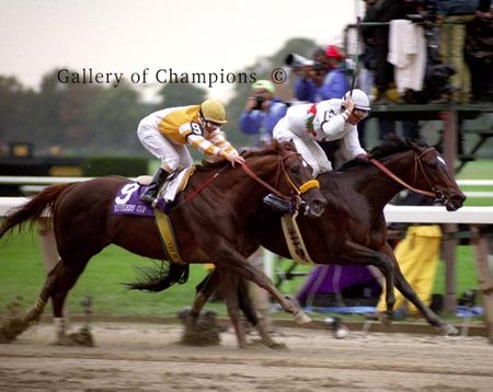 Desert Stormer Photo - 1995 Breeder's Cup Sprint Winner