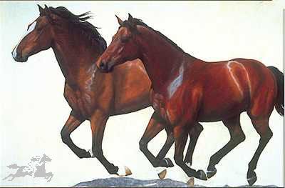 Diana Beach - Freedom's Run - Limited Edition Print