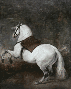 Diego Velázquez - A White Horse - Horse Print