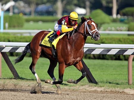 Discreetly Mine Winning 2010 Kings Bishop at Saratoga