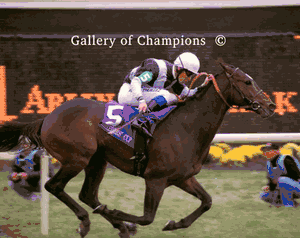 Domedriver Photo - 2002 Breeder's Cup Mile Winner