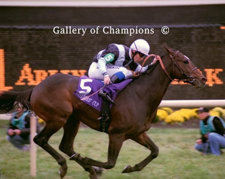 Domedriver Photo - 2002 Breeder's Cup Mile Winner